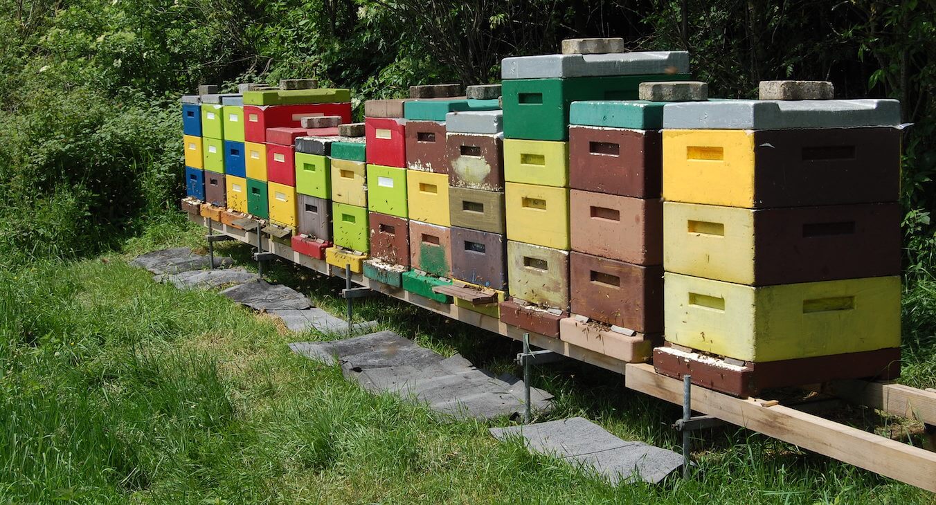 Bienenkästen